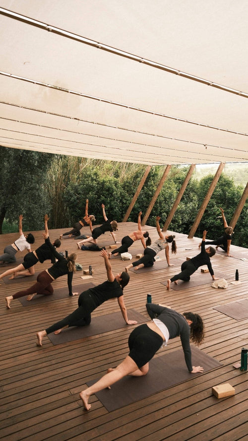 Guided Meditation Sessions