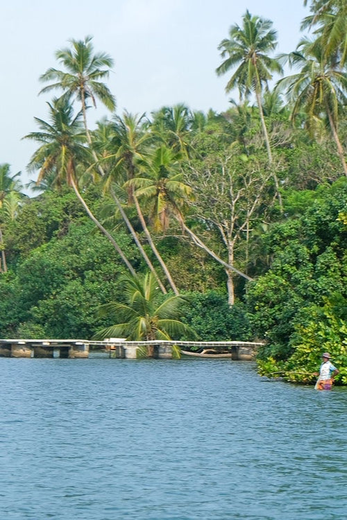 Island Adventures